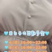 ヒメ日記 2025/04/04 21:50 投稿 ましろ 完熟ばなな 上野店