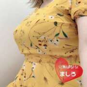 ヒメ日記 2025/04/05 20:20 投稿 ましろ 完熟ばなな 上野店