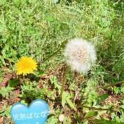 ヒメ日記 2025/04/07 10:20 投稿 ましろ 完熟ばなな 上野店