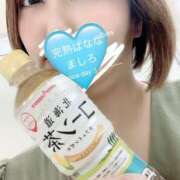 ヒメ日記 2025/04/11 14:00 投稿 ましろ 完熟ばなな 上野店