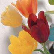 ヒメ日記 2025/04/20 11:10 投稿 ましろ 完熟ばなな 上野店