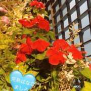 ヒメ日記 2025/06/14 23:50 投稿 ましろ 完熟ばなな 上野店