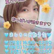 ヒメ日記 2025/06/27 12:31 投稿 ましろ 完熟ばなな 上野店