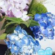 ヒメ日記 2025/07/04 12:31 投稿 ましろ 完熟ばなな 上野店