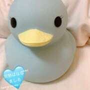 ヒメ日記 2025/08/03 14:50 投稿 ましろ 完熟ばなな 上野店