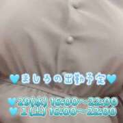 ヒメ日記 2025/10/29 06:50 投稿 ましろ 完熟ばなな 上野店