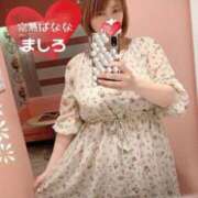 ヒメ日記 2025/11/09 15:14 投稿 ましろ 完熟ばなな 上野店