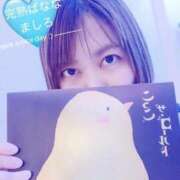 ヒメ日記 2025/11/28 11:04 投稿 ましろ 完熟ばなな 上野店