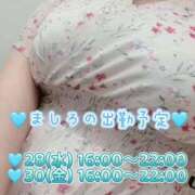 ヒメ日記 2026/01/27 07:16 投稿 ましろ 完熟ばなな 上野店