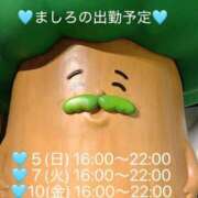 ヒメ日記 2026/04/03 15:36 投稿 ましろ 完熟ばなな 上野店