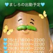 ヒメ日記 2026/04/23 16:16 投稿 ましろ 完熟ばなな 上野店