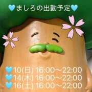 ヒメ日記 2026/05/08 17:36 投稿 ましろ 完熟ばなな 上野店