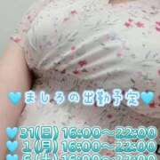 ヒメ日記 2026/05/30 11:16 投稿 ましろ 完熟ばなな 上野店