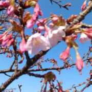 ヒメ日記 2025/03/24 09:14 投稿 常坂文乃 五十路マダム姫路店