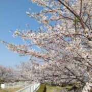 ヒメ日記 2025/04/17 12:10 投稿 常坂文乃 五十路マダム姫路店