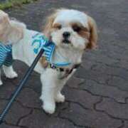 ヒメ日記 2025/12/06 13:00 投稿 常坂文乃 五十路マダム姫路店