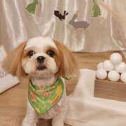 ヒメ日記 2025/12/08 22:40 投稿 常坂文乃 五十路マダム姫路店