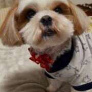 ヒメ日記 2026/01/12 14:44 投稿 常坂文乃 五十路マダム姫路店