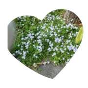 ヒメ日記 2026/04/04 12:30 投稿 常坂文乃 五十路マダム姫路店