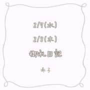 ヒメ日記 2024/02/19 12:02 投稿 希子-きこ【FG系列】 ほんとうの人妻 横浜本店