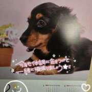 ヒメ日記 2025/02/01 13:57 投稿 舞姫-まき【FG系列】 ほんとうの人妻 横浜本店