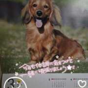 ヒメ日記 2025/03/01 21:55 投稿 舞姫-まき【FG系列】 ほんとうの人妻 横浜本店