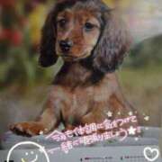 ヒメ日記 2025/05/02 22:50 投稿 舞姫-まき【FG系列】 ほんとうの人妻 横浜本店