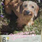 ヒメ日記 2025/06/02 01:26 投稿 舞姫-まき【FG系列】 ほんとうの人妻 横浜本店