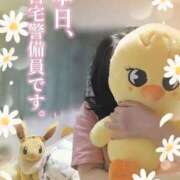 ヒメ日記 2025/06/16 23:36 投稿 舞姫-まき【FG系列】 ほんとうの人妻 横浜本店