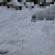 ヒメ日記 2025/01/10 13:06 投稿 みるく Lolipop（ロリポップ）