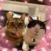 ヒメ日記 2025/01/12 15:06 投稿 みるく Lolipop（ロリポップ）