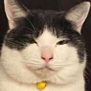 ヒメ日記 2025/01/15 22:46 投稿 みるく Lolipop（ロリポップ）