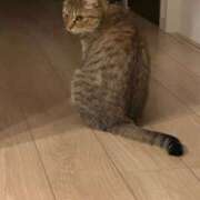 ヒメ日記 2025/02/11 07:16 投稿 みるく Lolipop（ロリポップ）