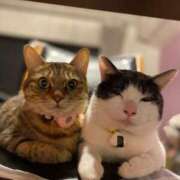 ヒメ日記 2025/02/16 23:26 投稿 みるく Lolipop（ロリポップ）