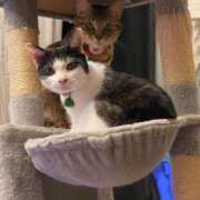 ヒメ日記 2025/02/22 10:06 投稿 みるく Lolipop（ロリポップ）