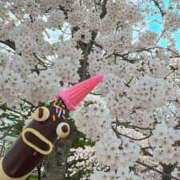 ヒメ日記 2025/04/13 14:08 投稿 みるく Lolipop（ロリポップ）