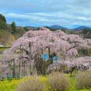 ヒメ日記 2025/04/14 16:56 投稿 みるく Lolipop（ロリポップ）