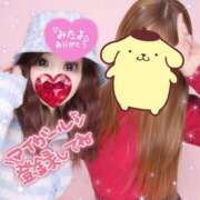 ヒメ日記 2025/04/14 18:16 投稿 みるく Lolipop（ロリポップ）