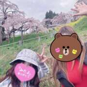 ヒメ日記 2025/04/15 10:26 投稿 みるく Lolipop（ロリポップ）