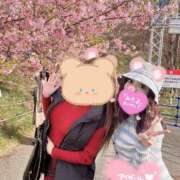 ヒメ日記 2025/04/15 15:26 投稿 みるく Lolipop（ロリポップ）