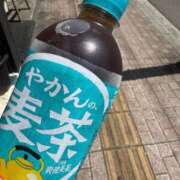 ヒメ日記 2025/05/29 14:16 投稿 みるく Lolipop（ロリポップ）