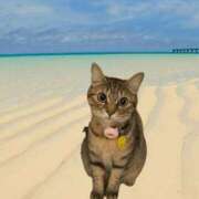 ヒメ日記 2025/06/07 13:36 投稿 みるく Lolipop（ロリポップ）