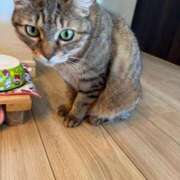 ヒメ日記 2025/07/17 12:26 投稿 みるく Lolipop（ロリポップ）