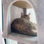 ヒメ日記 2025/08/02 11:16 投稿 みるく Lolipop（ロリポップ）