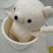 ヒメ日記 2025/09/02 15:06 投稿 みるく Lolipop（ロリポップ）