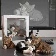 ヒメ日記 2025/09/12 13:56 投稿 みるく Lolipop（ロリポップ）