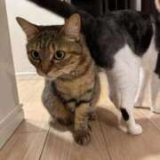 ヒメ日記 2025/09/23 02:32 投稿 みるく Lolipop（ロリポップ）