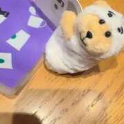 ヒメ日記 2025/10/15 17:16 投稿 みるく Lolipop（ロリポップ）