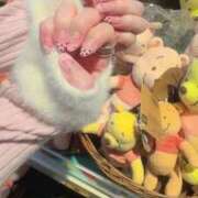 ヒメ日記 2025/10/24 14:06 投稿 みるく Lolipop（ロリポップ）