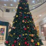 ヒメ日記 2025/11/06 16:36 投稿 みるく Lolipop（ロリポップ）